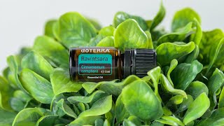 doTERRA Ravintsara 5ml  Translated Subtitles [upl. by Marteena826]