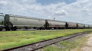 UP Westbound grain train at LaCoste TX [upl. by Olatha22]