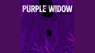 Purple Widow Paolo Ferrara amp Lorenzo Raganzini Remix [upl. by Enomad]