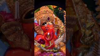 Sankashti Chaturthi October 2024Sankashti Chaturthi Whatsapp Statussankashtichaturthishorts [upl. by Ylak]