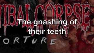 Cannibal Corpse Sarcophagic Frenzy Lyrics Video [upl. by Ahsinrev844]