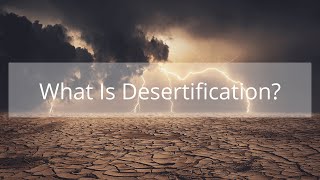 What Is Desertification  Climatic Issues About The Globe [upl. by Nnair]