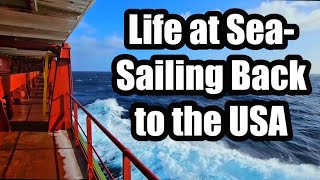 Life at Sea Sailing Back to USA [upl. by Sinclair]