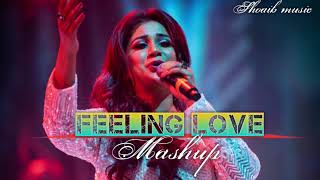 Feeling Love Mashup 2024 slowed reverb Arijit Singh Atif Aslam Darshan Raval  Naresh Parmar [upl. by Delmor]