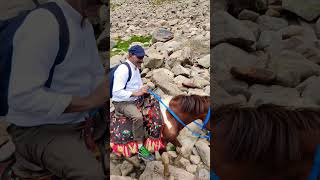 Dudipatsar lake trek on Horses 🐎 [upl. by Ynoyrb152]