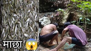 Nepali Local Fish Hunting😯 [upl. by Suoinuj]