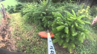 Weihnachtsbaumplantage ausmähen mit Stihl FS 450 GoPro [upl. by Naillimixam521]