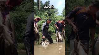 fishing hampala sungai aceh pesonaaceh aceh [upl. by Dennis]