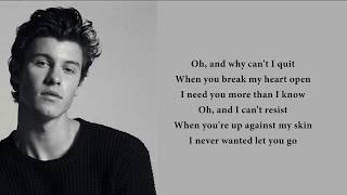 Shawn Mendes  Perfectly Wrong lyrics [upl. by Michaele]