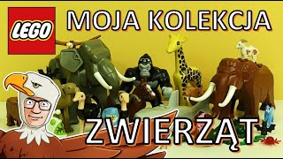 MOJA KOLEKCJA ZWIERZĄT Z LEGO 🐵  Maciek i Klocki [upl. by Naehs348]