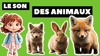 Apprendre les animaux et leurs bruits en français  Animaux pour enfants  Learn animals 🦊 [upl. by Koy]