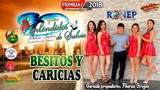 ESPLENDIDOS DE SALVIA ►BESITOS Y CARICIAS ☆ PRIMICIA 2018 ☆ ✓ ♫ ☛ RONEP Producciones [upl. by Anatnahs143]