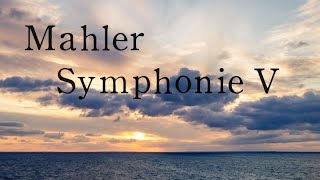 Mahler Symphonie No5 （DTM [upl. by Issie]