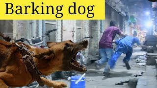 FAKE DOG BARKING PRANK  Velle Loog Khan Ali [upl. by Animar]