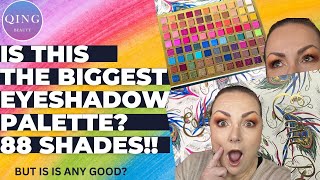 Is This The Biggest Eyeshadow Palette Yet Find Out If Its Worth It [upl. by Casar306]