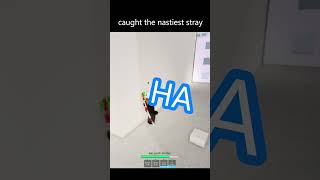 caught the nastiest stray roblox jjk jjs jujutsushenanigans shorts [upl. by Akenot]