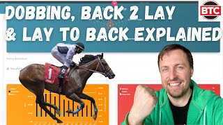 Dobbing Back to Lay amp Lay To Back Explained  Betfair Horse Racing Trading for Beginners [upl. by Lucania]