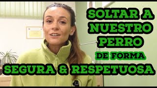 SOLTAR A NUESTRO PERRO DE FORMA SEGURA Y RESPETUOSA  Diéresis animal Tv [upl. by Odracir321]