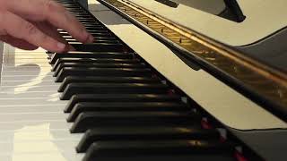 Home Flashmob  Chopin Waltz C sharp minor op64 No2 [upl. by Adnilem]