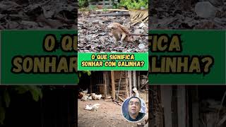 O QUE SIGNIFICA SONHAR COM GALINHA [upl. by Philippine]