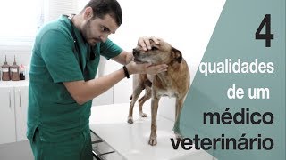 Quer ser veterinário Veja esse vídeo antes [upl. by Aicnatsnoc]