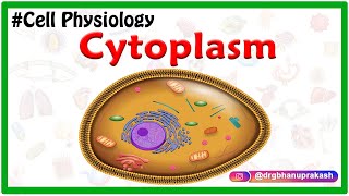 Cytoplasm  USMLE Cell Physiology Animations [upl. by Ahsas595]