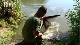 Carp Care  BivvyTV [upl. by Draw852]