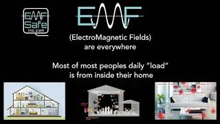 EMFSafeBVKSwitch [upl. by Slater165]