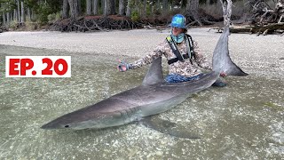 Harbour full of Great White Sharks Epic White Shark footage Drone and Under Water [upl. by Selassie523]