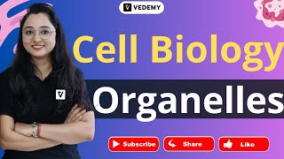 Cell Organelles  Cell Biology  Jyoti Kumari  CSIR  GATE  DBT  ICMR  CUET  ICAR  IIT JAM [upl. by Leund]