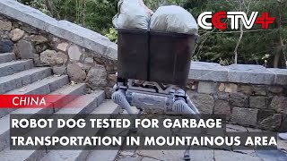 Robot Dog Tested for Garbage Transportation in Mountainous Area [upl. by Christabella401]