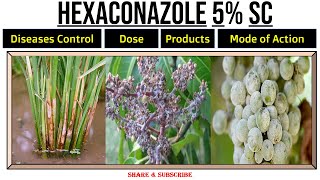 HEXACONAZOLE 5 SC। Uses । Dose । For which Diseases । Mode of Action । [upl. by Eelannej]