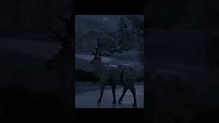 WAPITI INAHME ANIMAL LEGENDAIRE NATURALISTE RED DEAD ONLINE [upl. by Torp]