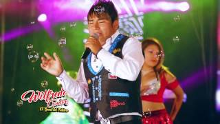 WILFREDO CONDORI EL GENIO DEL FOLKLOR  ANDO TOMANDO  STUDIOS ROY 2016 2017 Video Oficial [upl. by Ximena]