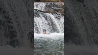 Waterfall  Naran song  Mandatory 😄📸 VazhvantholWaterfalls [upl. by Eda755]