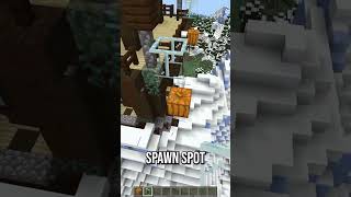 Find Pillager Spawn Spots for a Raid Farm minecraft [upl. by Teena]