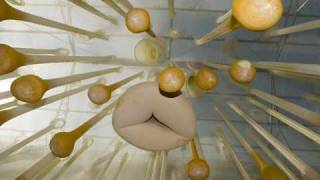 Ernesto Neto [upl. by Gilson246]