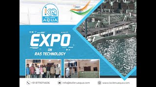 RAS Fish Farming  Fish Farming in Recirculating Aqua Culture System  Kolleru Aqua Automatic RAS [upl. by Gusella]