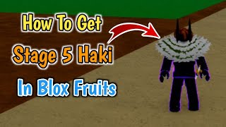 How To Get Stage 5 Haki In Blox Fruits 2024  Stage 5 Haki Guides [upl. by Delisle]