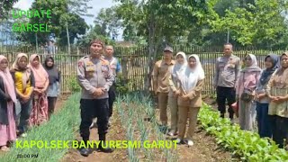 Kapolsek Banyuresmi Monitoring Giat KWT Sejahtra Kec Banyuresmi Garut [upl. by Akkin]