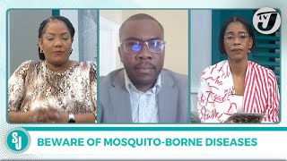 Beware of Mosquitoborne Diseases with Dr Horace Cox  TVJ Smile Jamaica [upl. by Judah961]