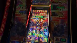 I got all 5 COINS Buffalo slot jackpot slotmachine buffaloslot [upl. by Garlanda]