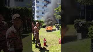 Brave Firefighters in Action 🔥👨‍🚒 Saving [upl. by Tneciv]