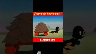 শিয়াল যখন ভুল কাউকে ধরেytshots carton video [upl. by Kania]