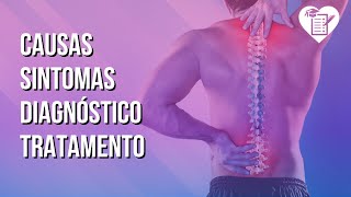 FIBROMIALGIA  O que é Causas Sintomas Diagnóstico Prevenção e Tratamento [upl. by Lewan186]