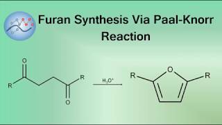 Furan Synthesis Mechanism Via PaalKnorr Reaction  Organic Chemistry [upl. by Elitnahc]