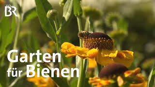 Garten für Bienen in Ellingen  Frankenschau  Reportage [upl. by Orford]