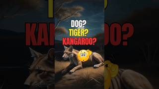 What exactly was the Tasmanian Tiger animals animation shorts 77 [upl. by Madelene]