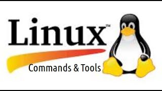 Commands amp Tools Linux 008 How find files with some text using the command grep [upl. by Giffer]