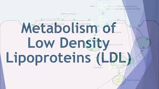 Metabolism of Lipids amp Fatty Acids  2nd Year MBBS  Lecture 12 [upl. by Elumas268]